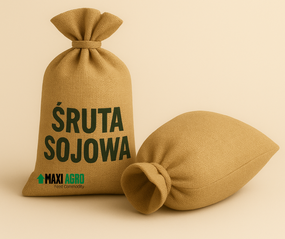 Śruta sojowa